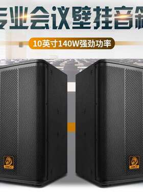 狮乐（SHILE）AV1018+BX505功放音响组合套装 会议音箱扩声系统
