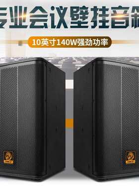 狮乐（SHILE）AV1018+BX505功放音响组合套装 会议音箱扩声系统