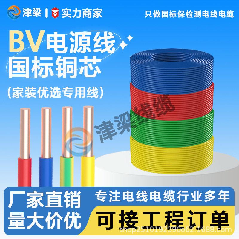 全球热销BV电线4/6/10平方导线铜芯电缆线电机开关插排电源线