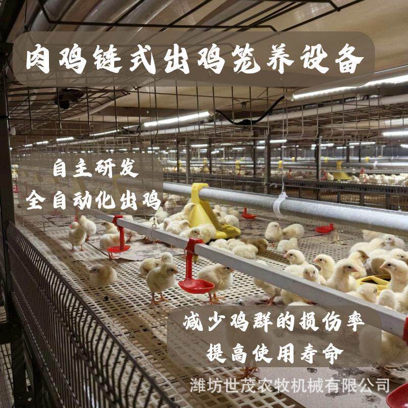 肉鸡链式出鸡笼养设备全自动化出鸡多款式适配规模化养殖