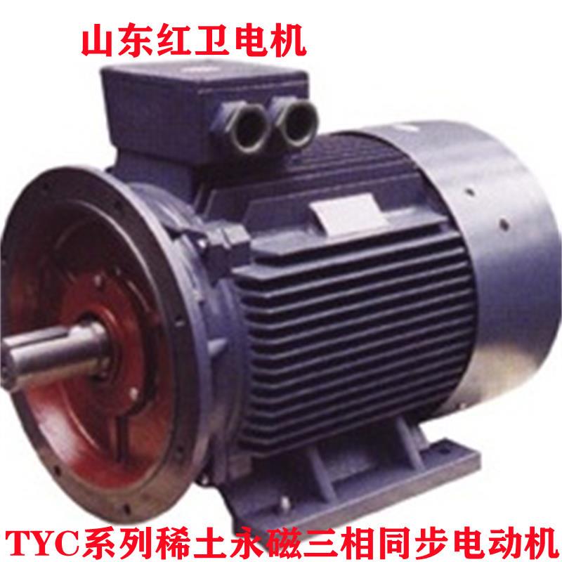 山东厂家直供TYC2-250-6/37W三相永磁变频同步电动机质量保障