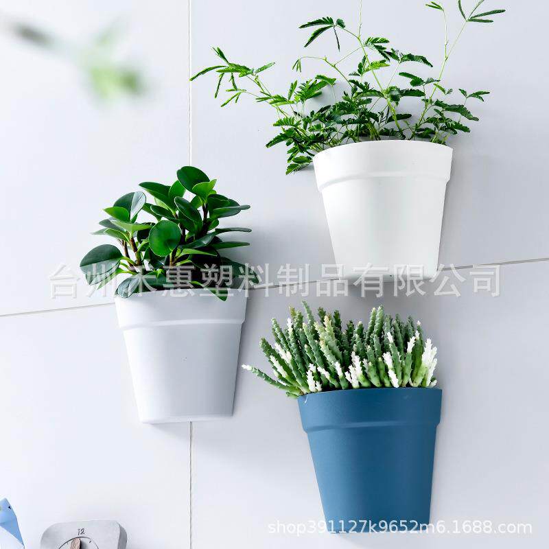 壁挂式塑料盆栽植物花盆创意阳台室内盆景半圆形小盆水培花盆