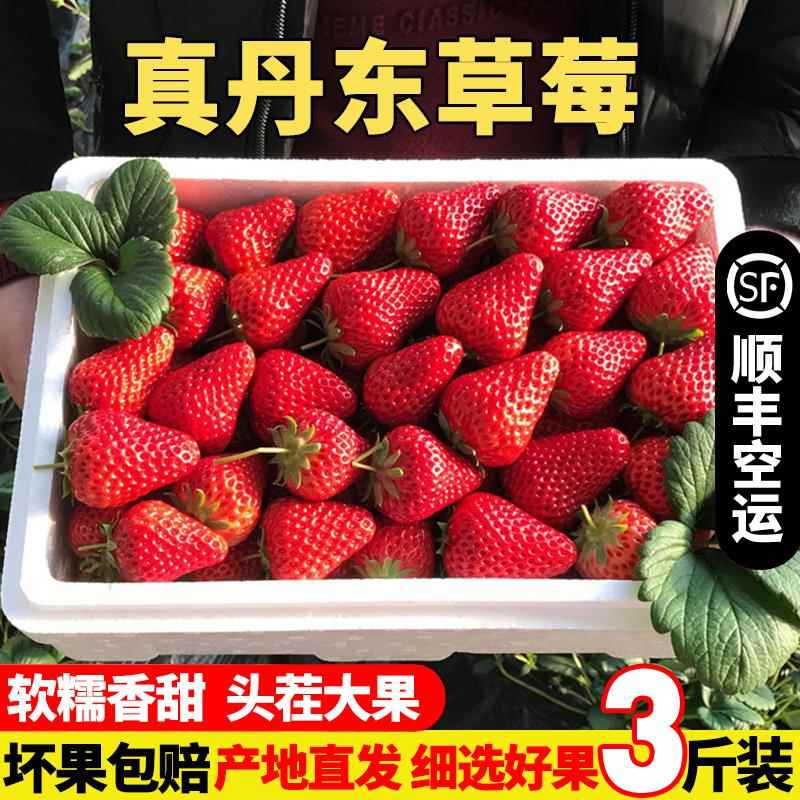 丹东草莓大果新鲜99草莓红颜九九牛奶草莓水果空运礼盒装