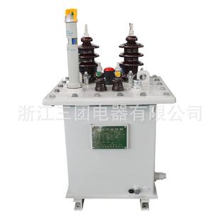 0.3KV单相户外柱上配电降压变压器 100KVA10 单相油浸式 变压器D9