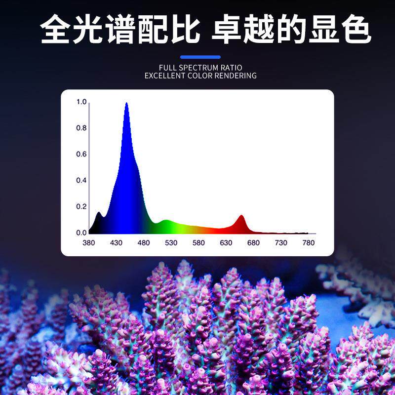 kassray AI珊瑚灯 国产ai珊瑚灯 国产ATI全套