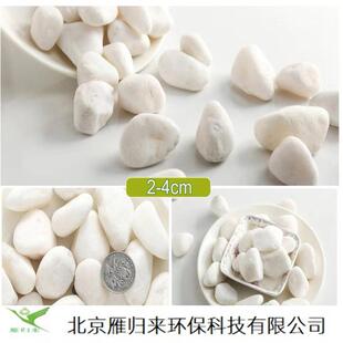 白色鹅卵石机制雪花白盆栽装饰白石子鹅卵石园艺庭院造景白色砾石