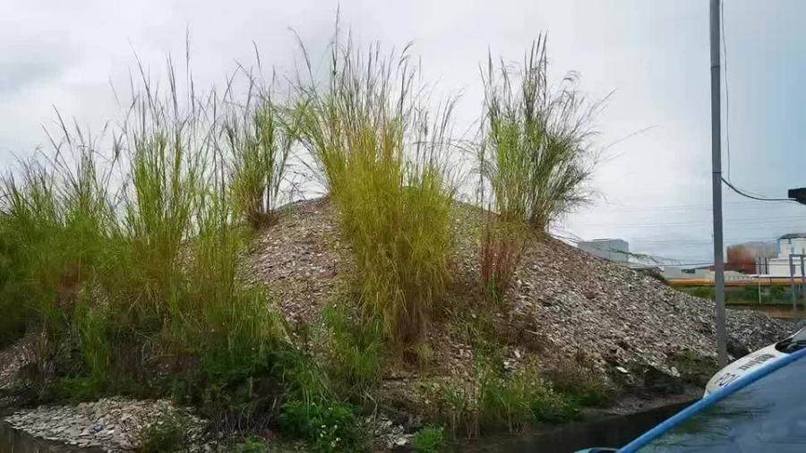 3月2日梧州环保公司的瓷砖碎片一批网络拍卖公告