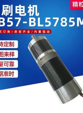 无刷电机GB57-BL5785M 电动智能开窗器低速大扭矩奶茶机无刷电机