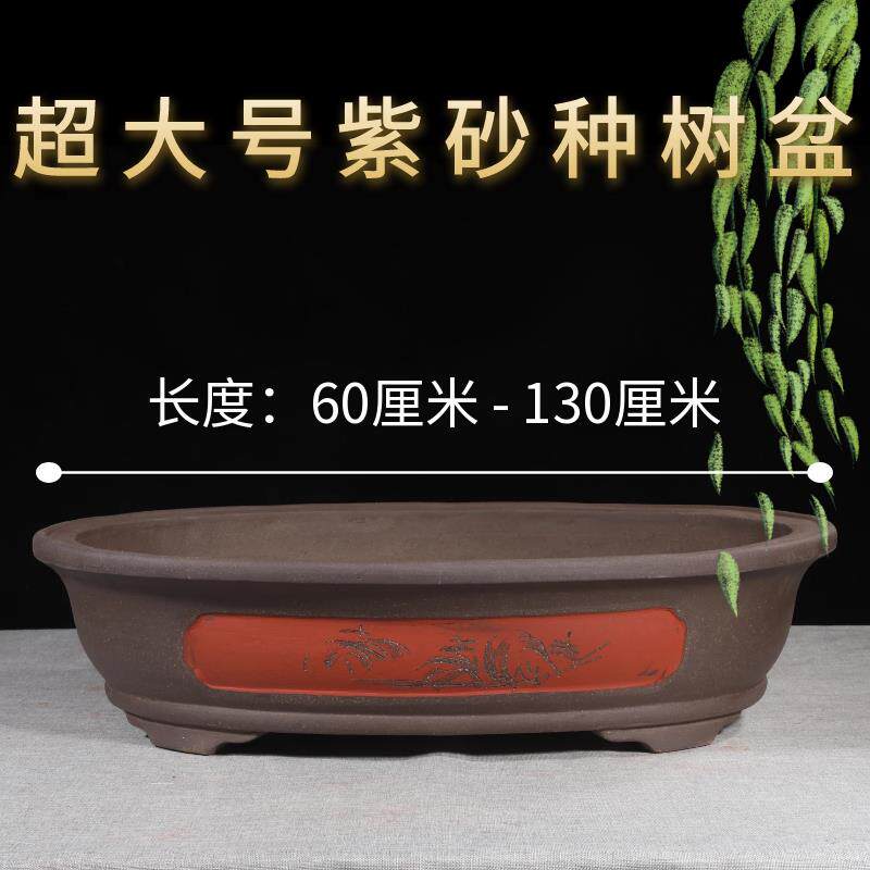 特大紫砂椭圆形腰元宝盆大口径种树大气复古宜兴纯手工大口径花卉