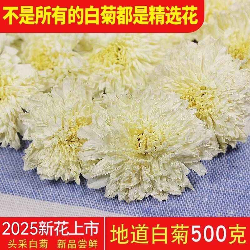 2025新花上市菊花茶500g杭黄山头采白菊花安徽下黄山白菊茶叶