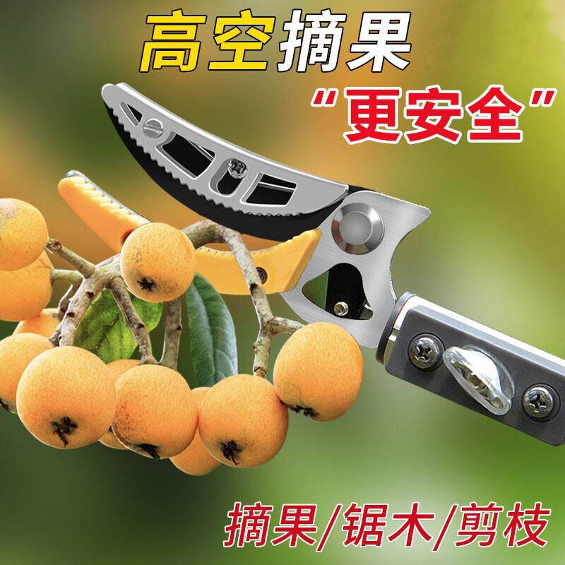 摘枇杷剪刀摘果伸缩剪子荔枝高空水果加长采摘器黄皮高枝剪龙眼杆