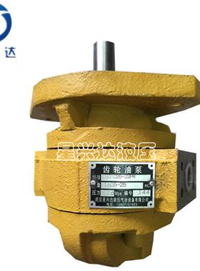 齿轮油泵CBGJ3140/3160/2040/2050/2063/1040/1045液压油泵