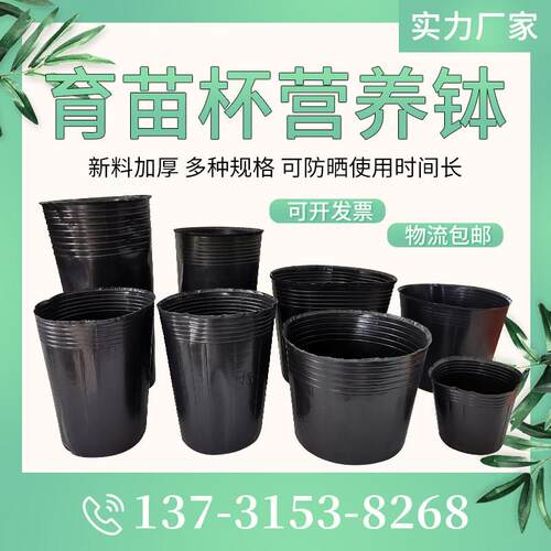 一次性育苗营养杯加厚塑料育苗袋 果树花盆营养钵