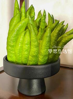 佛手柑专用花瓶托盘水培花瓶陶瓷器皿容器摆件花盆养花观赏插花