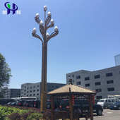 10米多头景观灯户外市政道路灯高杆照明钢材玉兰灯 工程款