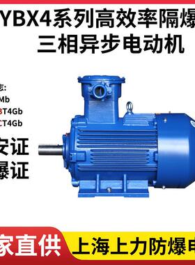 验厂无忧YBX4-355L2-4315W防爆电机源头工厂生产有防爆证
