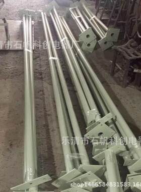 BAM52防爆马路灯 防爆道路灯 防爆灯杆6米 8米 12米 单臂 双臂BGD