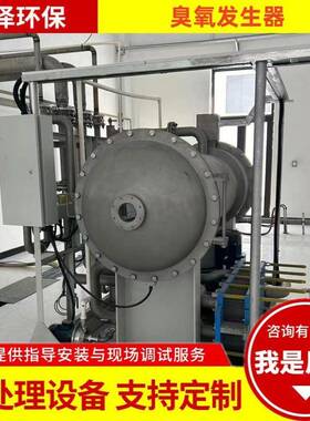 水处理臭氧发生器臭氧催化氧化装置氧气空气源大中型臭氧发生器