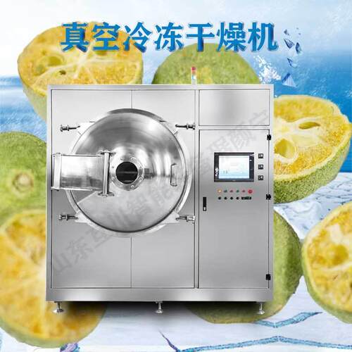 食品羊奶粉真空冷冻干燥机水果真空芒果桑葚低温冷冻干燥机商用