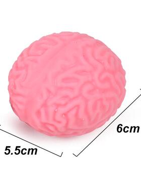 a brain toy Squishy Squeeze Ball Stress Relief Fun Fidget脑