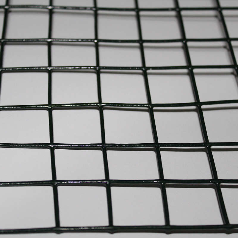 养殖用网小孔浸塑电焊网绿色卷网养鸡养鸭荷兰网圈地用网田园垂钓