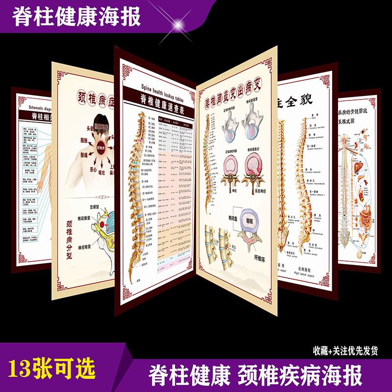 脊柱健康速查表脊柱相关疾病对应图中医养生医学挂图颈椎腰间盘画