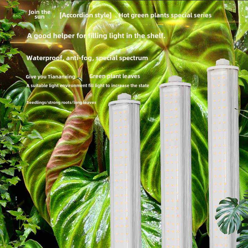 东阳天南星科热植补光家用绿色植物叶片盆景全光谱Led植物生长灯