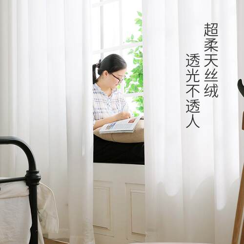 纱帘透光不透人天丝绒纱窗帘卧室紫色蓝色丝绒涤纶感飘窗现代简约