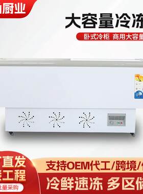 大容量冰柜商用冷冻冷藏两用海鲜肉类商超保险冷藏展示柜卧式岛柜