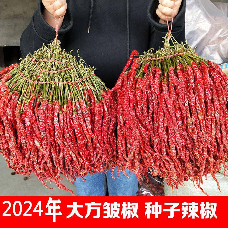 特香贵州大方特产皱椒鸡爪辣二荆条海椒长辣椒肉厚微辣干辣椒包邮