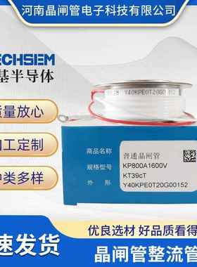 TECHSEM台基可控硅Y55KAD1200A1200V1300V1400V中频炉高频晶闸管