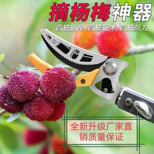 多功能伸缩杆高空摘果剪摘果神器采摘枇杷荔枝龙眼柿子高空修枝剪
