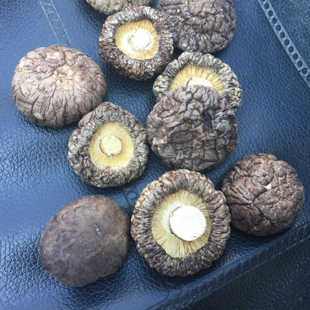 西峡香菇干货2-5cm光面菇南北干货花菇干货500g