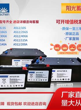 Sonnenschein阳光蓄电池A512/30G6 A512/65 G5 12V40AH直流屏电源