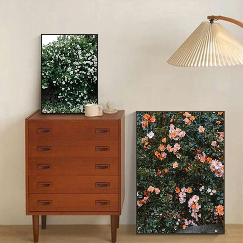 北欧植物花卉玄关装饰画复古玫瑰客厅挂画餐厅壁画ins卧室落地画图片