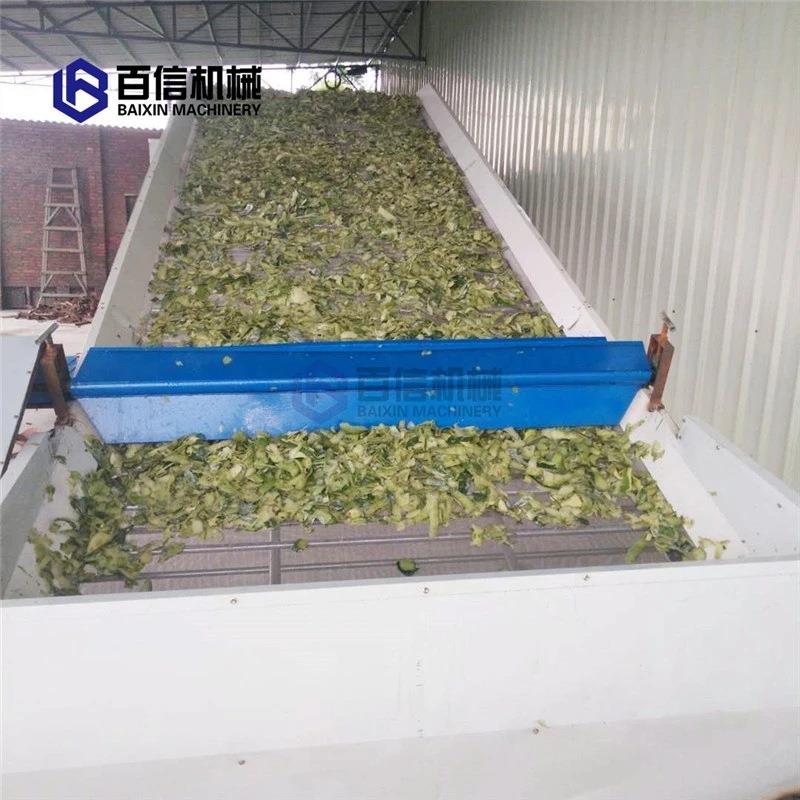 冬瓜干燥机带式冬瓜烘干机多层连续式冬瓜干冬瓜皮烘干设备