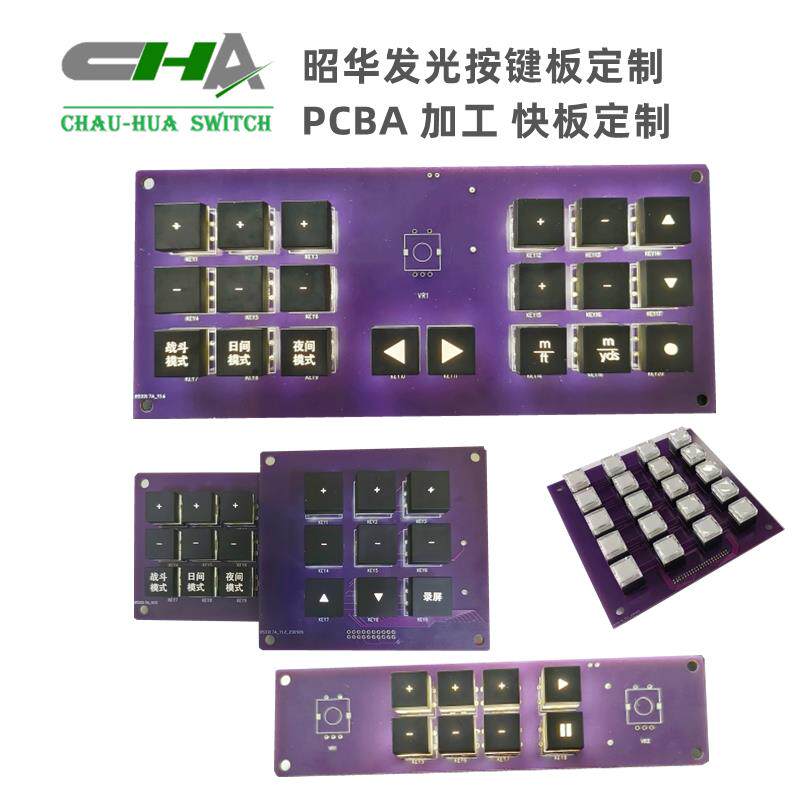 昭华 4X5矩阵键盘 直插20按键 单片机外扩键盘 带灯 开关按键板