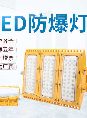 LED防爆灯 100W150W200W300W400WLED模组防爆灯投光灯 防爆路灯
