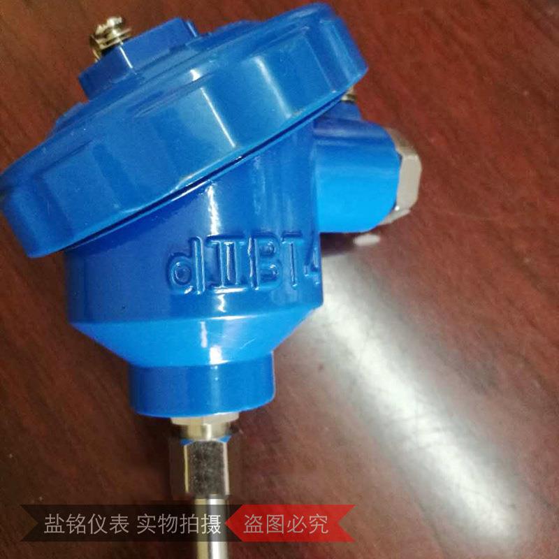 石油化工管道防爆热电阻WZPK-138 贴壁式热电阻热电偶