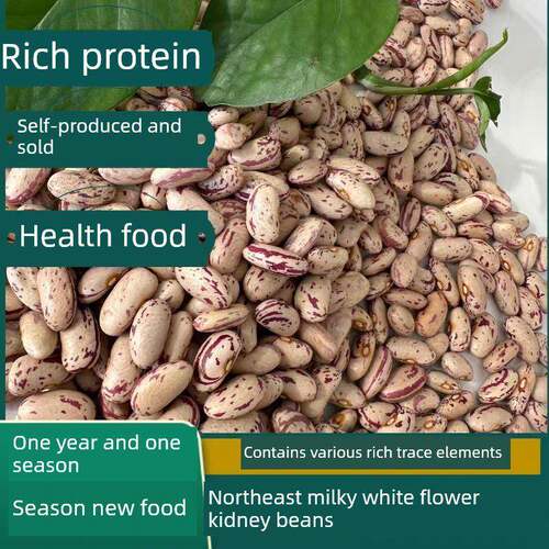 黑龙江东北2024年新丰收牛奶花芸豆大粥豆包豆馅特米豆全杂粮