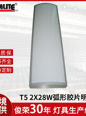 外贸实力工厂定制T5 2X28W弧形胶片明盆防水壁挂式灯具格栅灯
