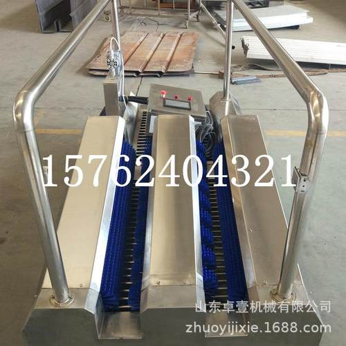 大型单整双通道清洗子 按需做尺寸 厂靴家直销价DLO机不机锈钢洗