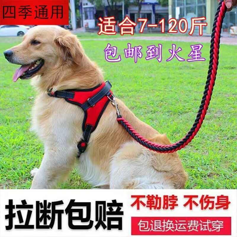 柯牵引绳中宠物绳子萨摩基胸链子背带泰迪耶金毛狗狗狗大型犬遛狗