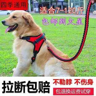 萨摩耶背带狗狗迪大型犬金毛狗胸遛狗链子宠物牵引绳泰柯基中绳子