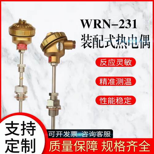 WRN-231 装配式热电偶 PT100/E/K分度号 双支装配热电偶WRN2-230