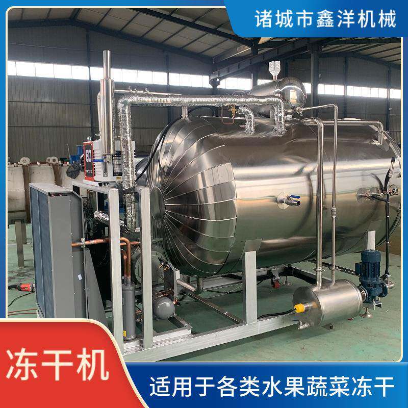 水果真空冻干机药品真空冷冻机蔬菜益生菌饮料真空冷冻设备现货