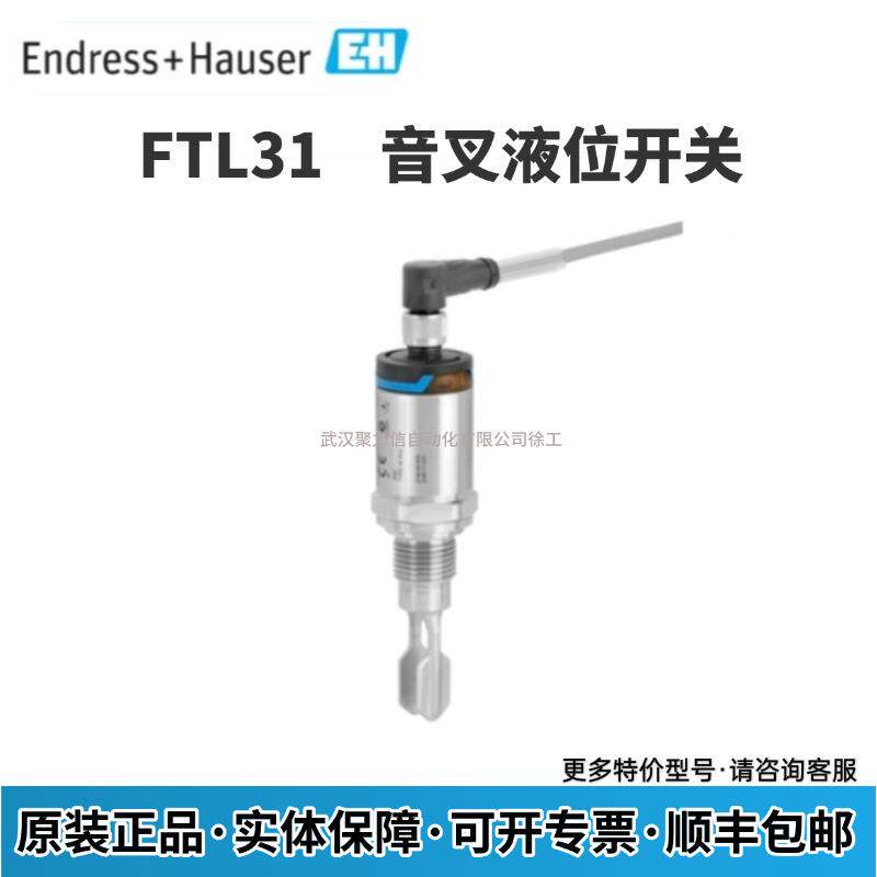 FTL31-1395/0 FTL31-AA4M3AAWBJ 德国E+H 音叉液位开关 现货