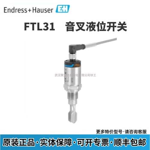 FTL31-13J8/0 FTL31-AA4M2AAW5J 德国E+H 音叉液位开关 现货