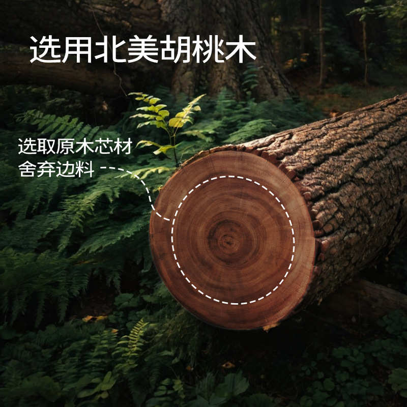 胡桃木牙刷架子洗脸纸巾置物架卫生间浴室洗漱台免打孔刷牙漱口杯