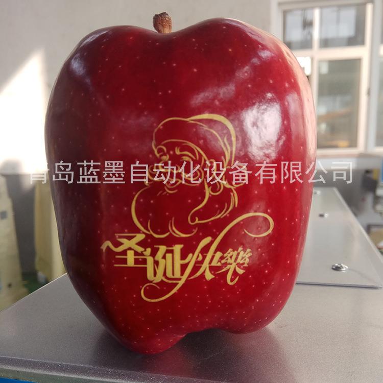 全自动可食用油墨水果苹果印字机厂家